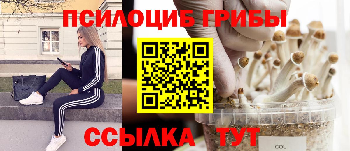 Галлюциногенные грибы Magic Shrooms  Вход с VPN  Тамбов 