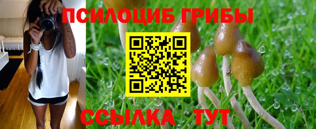 Галлюциногенные грибы мицелий Тамбов